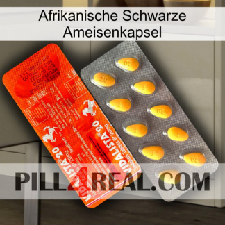 Africa Black Ant Capsule new01